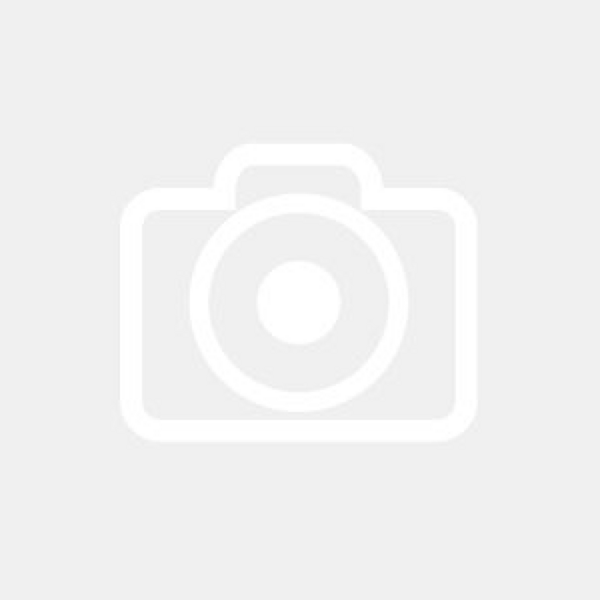 Tinta Emborrachada Fosco Standard Externo Elefante 20Kg Luxens