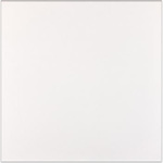 Piso Cerâmico Branco Brilhante 60x60cm Classico Branco