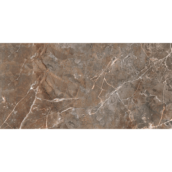 Porcelanato Marmorizado Polido 60x120cm Porta Santa Lux